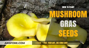 Planting Mushroom Grass Seeds: A Step-by-Step Guide for Beginners