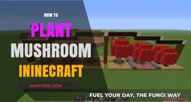 Planting Mushrooms in Minecraft: A Step-by-Step Guide