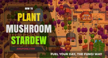 Planting Mushrooms in Stardew: A Step-by-Step Guide