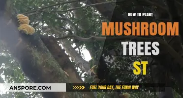 Planting Mushroom Trees: A Step-by-Step Guide for Beginners
