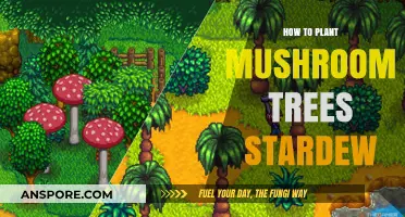 Stardew Valley Mushroom Tree Guide: Planting Tips for Success