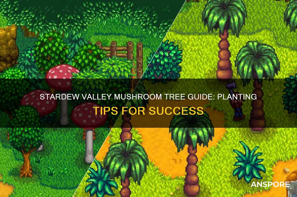 how to plant mushroom trees stardew