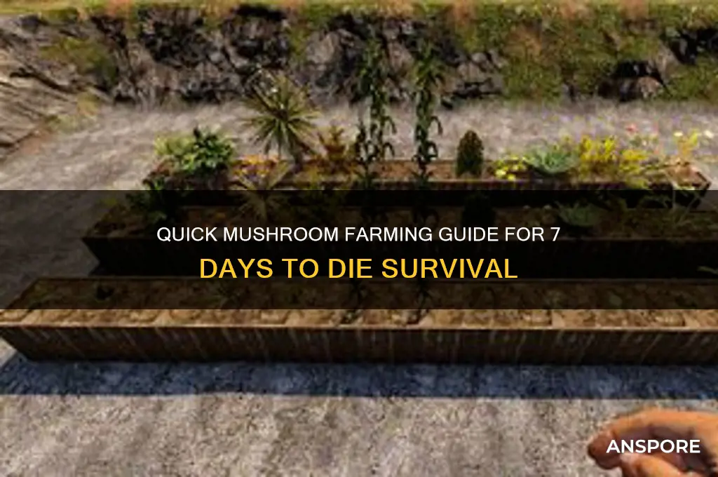 how to plant mushrooms in 7 days to die