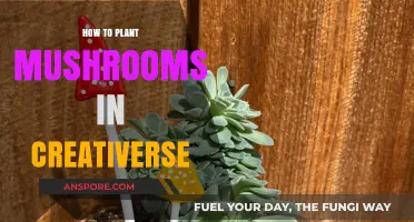 Mastering Mushroom Cultivation: A Step-by-Step Guide for Creativerse Players