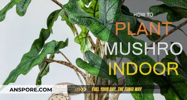 Grow Mushrooms Indoors: A Step-by-Step Guide