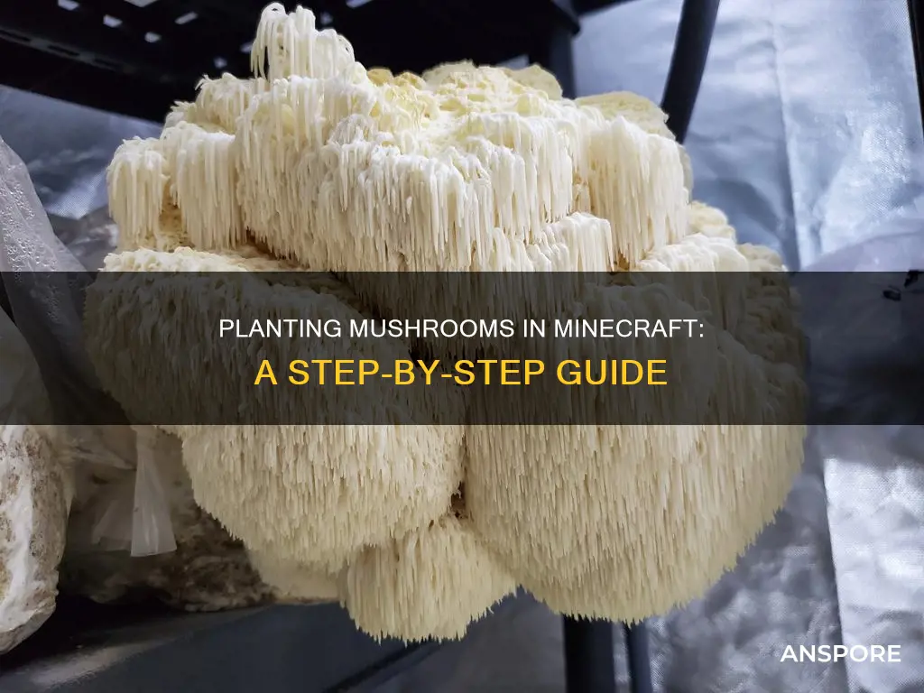 how to plant mushrooms mc