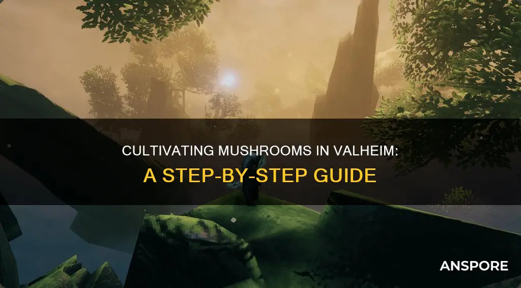 how to plant mushrooms valheim