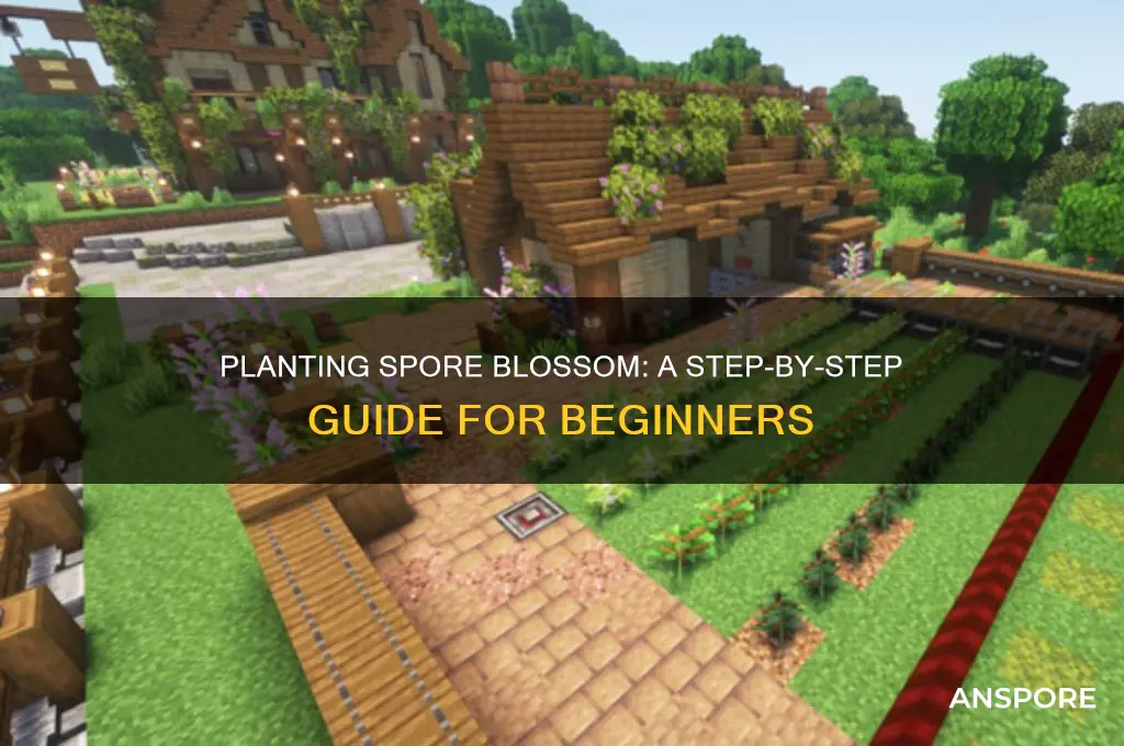 how to plant spore blossom