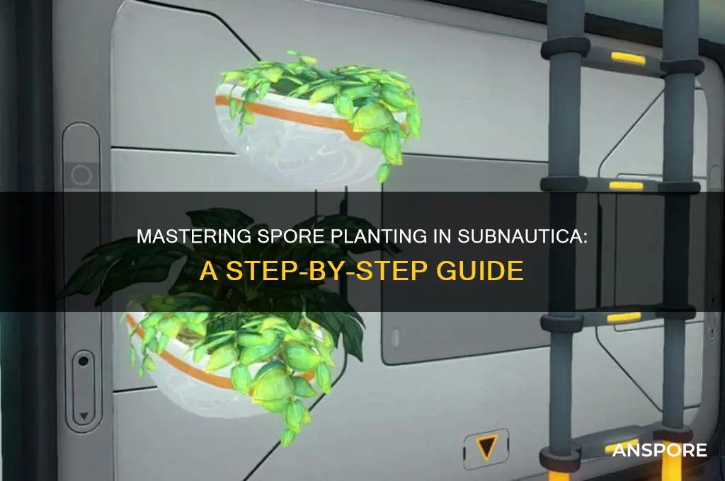 how to plant spore subnautica