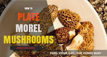 Elegant Morel Mushroom Plating: Tips for a Gourmet Presentation