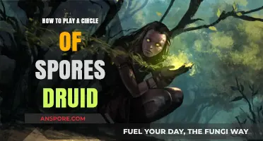 Mastering the Circle of Spores Druid: Tips, Tricks, and Tactics