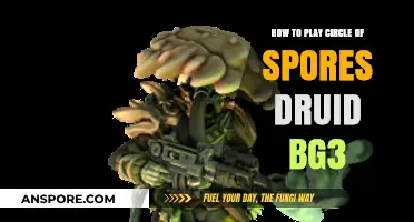 Mastering Circle of Spores Druid in Baldur's Gate 3: A Comprehensive Guide