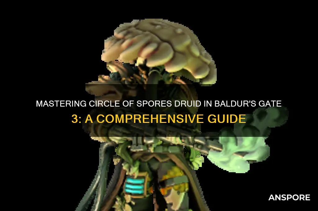 how to play circle of spores druid bg3