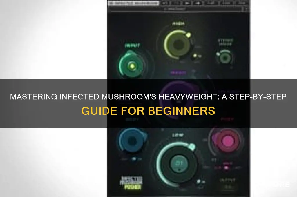 how to play infected mushroom heavyweight