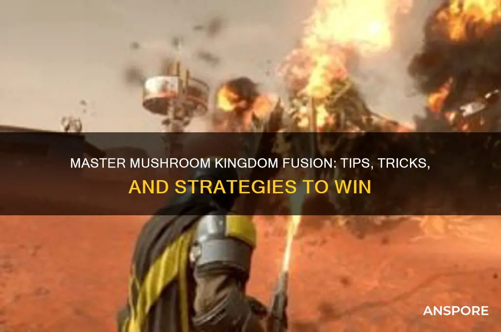 how to play mushroom kingdom fusion