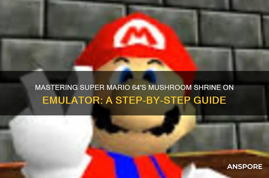 how to play sm64 the mushroom shrine on emulator