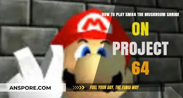Mastering Super Mario 64: Mushroom Shrine on Project 64 Guide