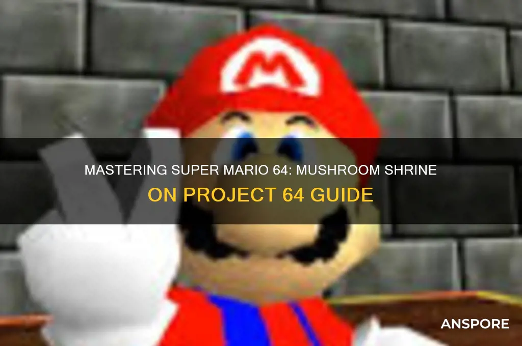 how to play sm64 the mushroom shrine on project 64