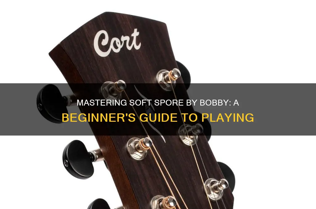 how to play soft spores by bobby