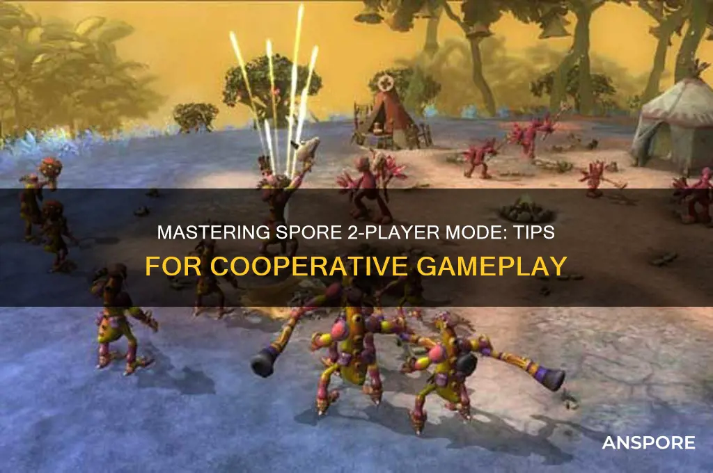 how to play spore 2 player