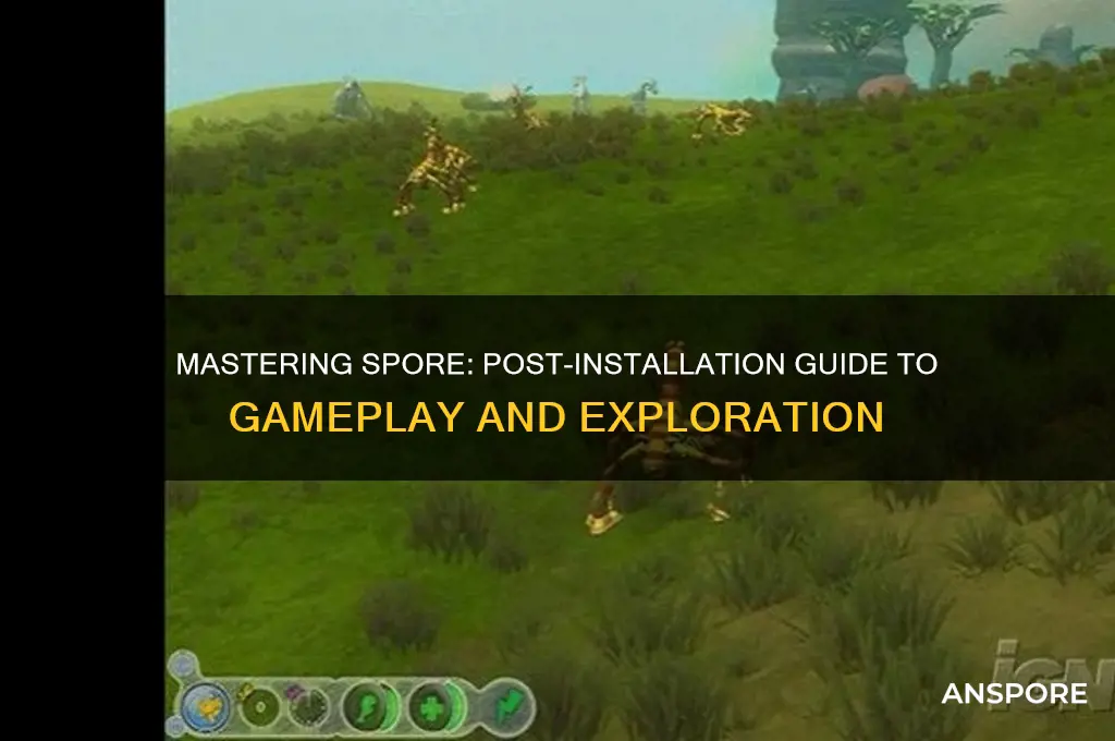 how to play spore after installation