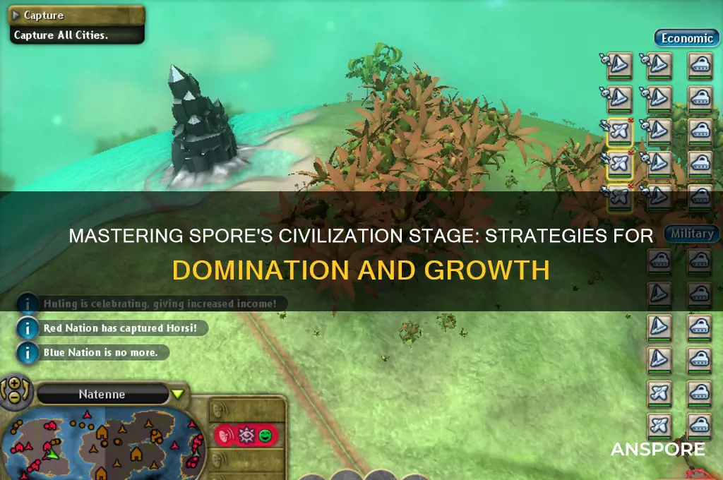how to play spore civilization stage