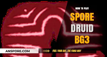 Mastering the Spore Druid in Baldur's Gate 3: A Comprehensive Guide