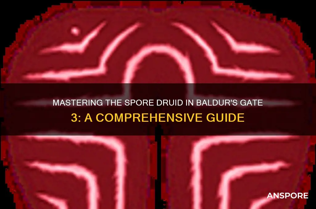 how to play spore druid bg3