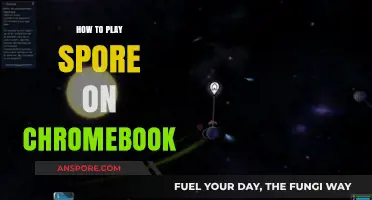 Play Spore on Chromebook: Easy Setup Guide for Gamers