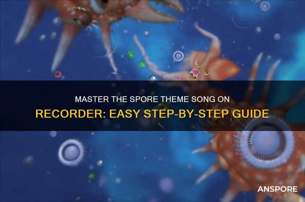 how to play the spore theme song on recorder
