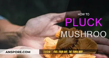 Harvesting Mushrooms: Plucking Techniques for Beginners