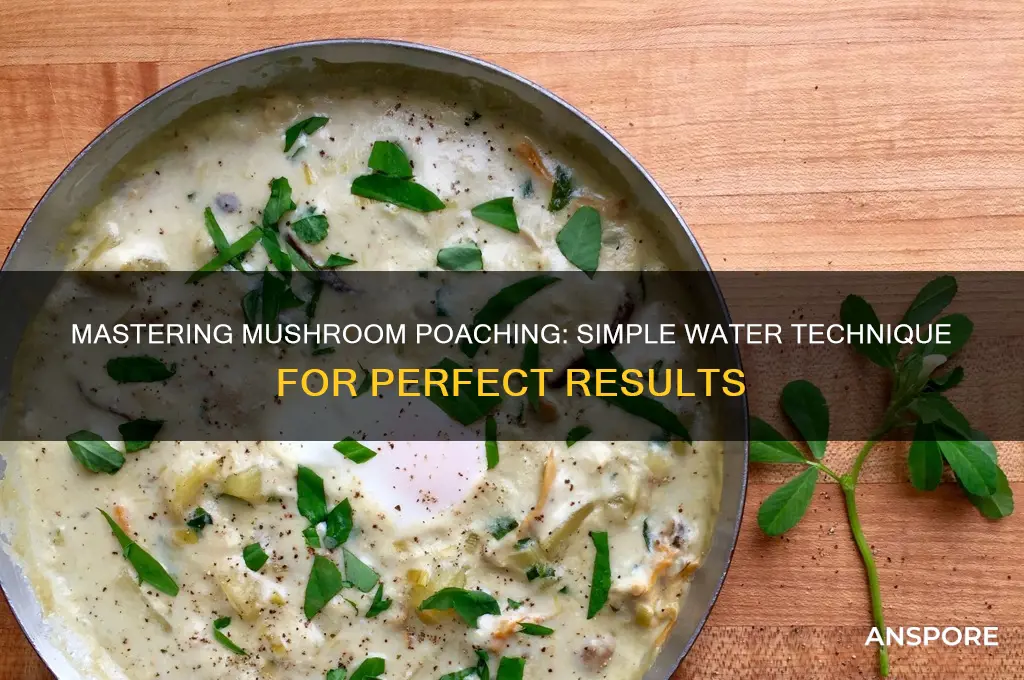 how to poach mushrooms in water