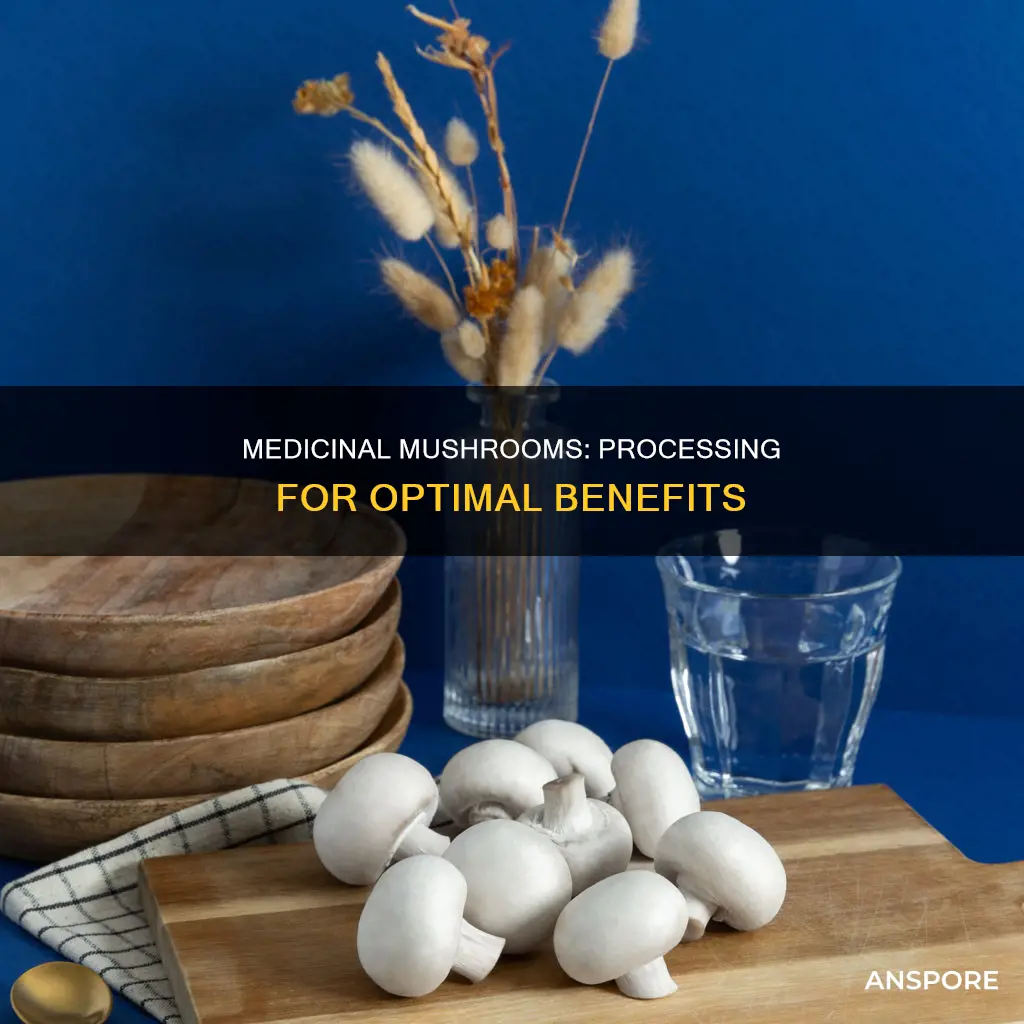 how to porcess medicinal mushrooms