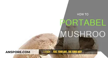 Portabella Mushrooms: Preparation and Cooking Techniques