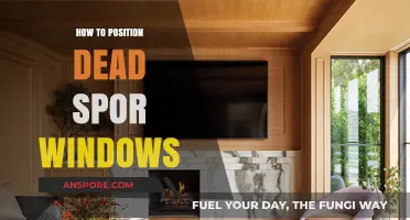 Reviving Dead Spor Windows: Effective Positioning Strategies for Optimal Performance