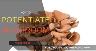 Enhancing Your Mushroom Trip: A Guide to Potentiation
