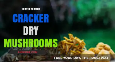 Mastering the Art of Powdering Cracker-Dry Mushrooms: A Step-by-Step Guide