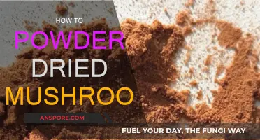 Grinding Dried Mushrooms: Making Powder the Right Way