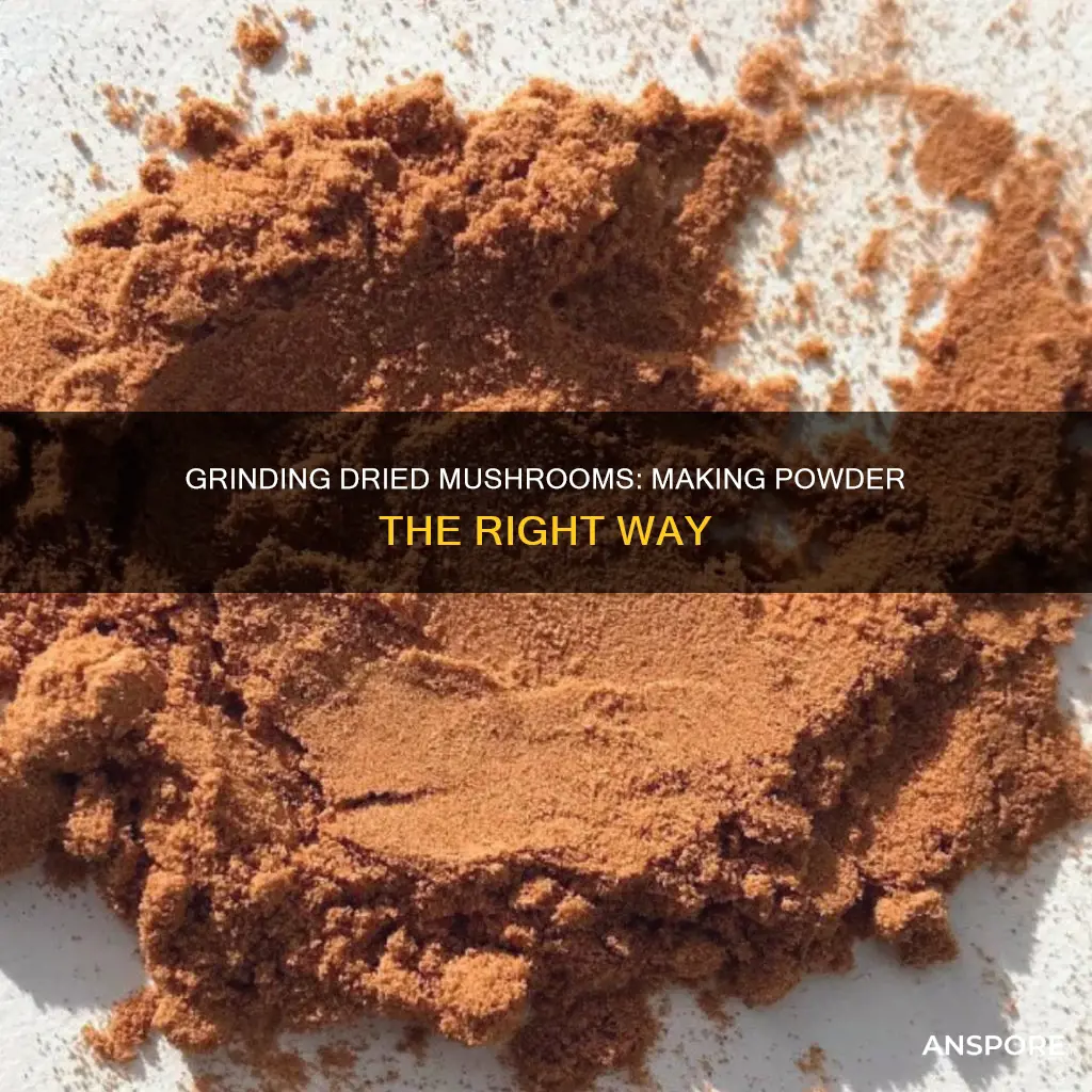 how to powder dried mushrooms