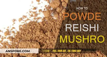 The Ultimate Guide to Powdering Reishi Mushrooms