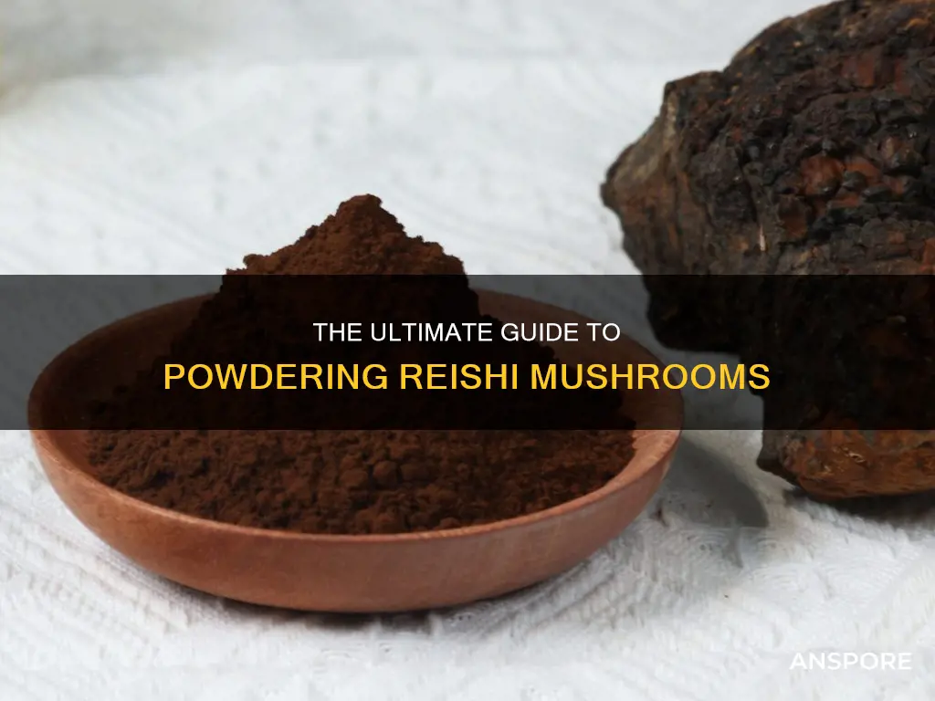 how to powder reishi mushroom