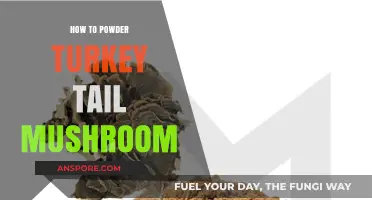 Powdering Turkey Tail Mushroom: A Simple DIY Guide for Beginners
