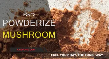 The Magic of Mushroom Powder: A Step-by-Step Guide