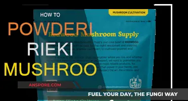 The Ultimate Guide to Powderizing Reishi Mushrooms