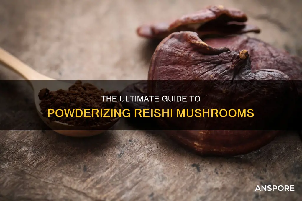 how to powderize rieki mushroom