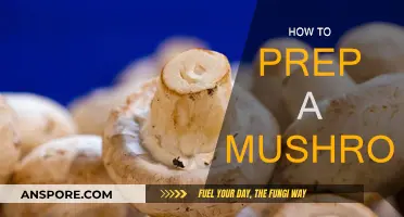 The Ultimate Guide to Preparing Mushrooms