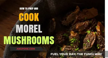 Mastering Morel Mushrooms: Prep, Cook, and Savor the Delicacy
