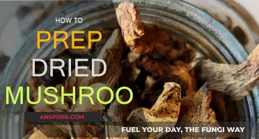 Preparing Dried Mushrooms: A Step-by-Step Guide to Deliciousness