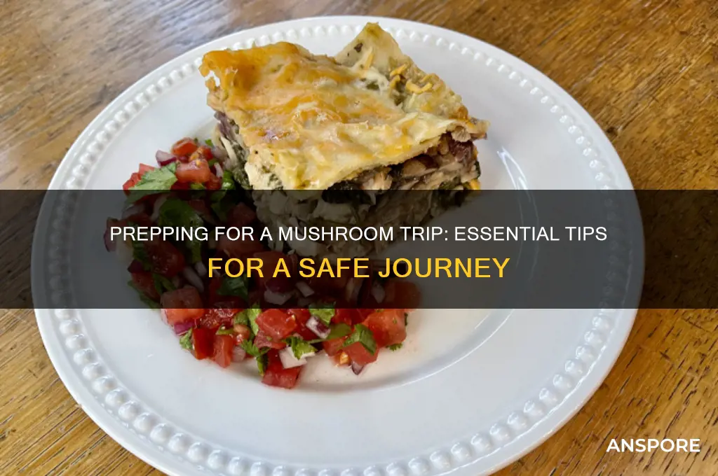 how to prep for a mushroom trip