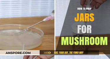 Prepping Jars for Mushroom Cultivation: A Step-by-Step Sterilization Guide